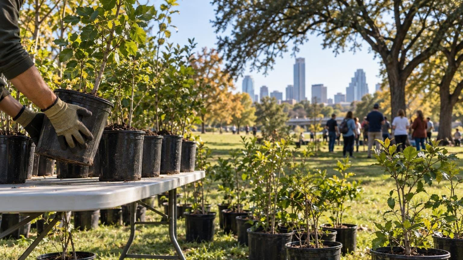 Roots & Wings Festival Starts Saturday: 500 Free Trees, Free Bus Passes and Weeknight Bat Talks