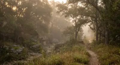 Austin’s Quietest Escapes: The Insider Guide to Nature Preserves Where Locals Actually Disappear