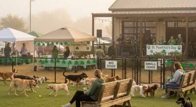 Inside St. Pawtrick’s Day at The Shacks: The Insider Guide to North Texas’ Biggest Dog‑Friendly Spring Festival