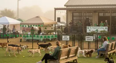 Inside St. Pawtrick’s Day at The Shacks: The Insider Guide to North Texas’ Biggest Dog‑Friendly Spring Festival