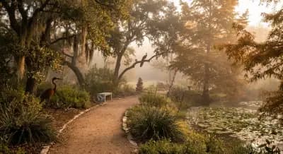 Inside Austin’s Hidden Parks of 2025: The Insider Guide to the City’s Secret Nature Escapes